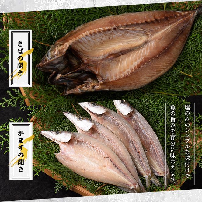 訳あり！干物のおまかせ詰め合わせ(5種・計30枚) 国産 ひもの 魚介 小分け 個包装 セット みりん干し アジ あじ 開き 鯵 サバ さば 鯖 鰯 いわし イワシ 丸干し カマス かます きびなご おかず おつまみ お任せ お楽しみ バラエティ 【又間水産】akn001-12