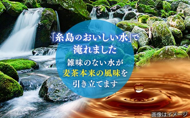 麦茶 600ml × 24本 糸島市 / スターナイン お茶 ペットボトル [ARM005] お茶 ペットボトル 500ml 24本 麦茶 国産 ノンカフェイン 常温