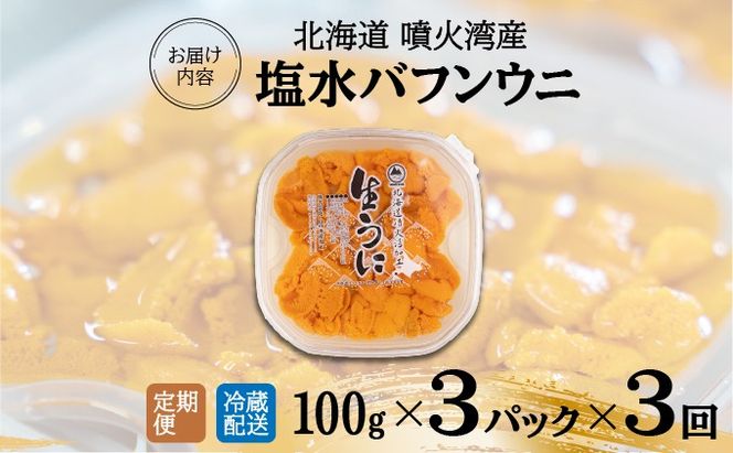 【定期便3カ月】北海道 噴火湾産 塩水 バフンウニ 100g 3パック うに ウニ 雲丹 海鮮 海の幸 魚介類 ウニ丼 お寿司 濃厚 無添加 産地直送 産直 お取り寄せ 山村水産 送料無料 【55250994】