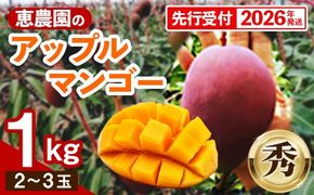 【先行受付】【2026年発送】恵農園のアップルマンゴー『秀』約1kg（2～3玉）- 先行予約 沖縄県産 産地直送 南国フルーツ 旬の味覚 季節の果物 贈り物 ギフト 沖縄県 八重瀬町