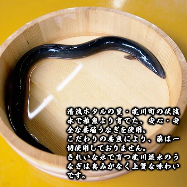 【急速冷凍】北川鰻の白焼き（2尾） N010-YA665