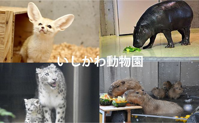 チケット いしかわ動物園ペア入園券（一般＋3歳以上中学生以下）石川県 能美市 172111_CX008