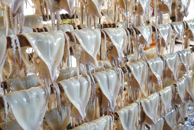 肉厚するめ 10枚入り