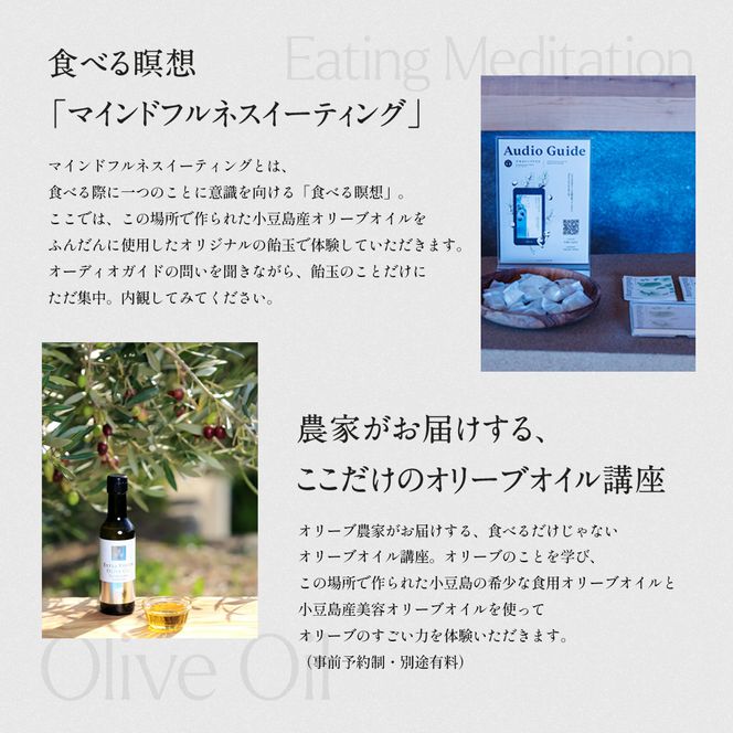 【 小豆島 】千年オリーブテラス for your wellness 日帰り体験 （入園つき） ペアチケット マインドフルネス体験 体験 体験チケット 旅行 旅 オリーブテラス 日帰り チケット ペア 香川 香川県 土庄 土庄町