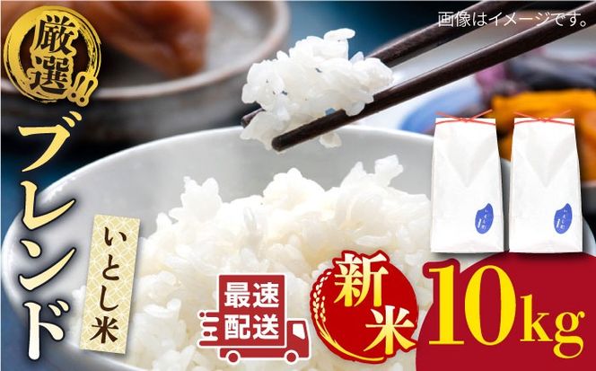 yszyNzyߘa7NYVāz Ƃ Iuh 10kg (Y) s / OX[AIM046]      ߂ qmqJ