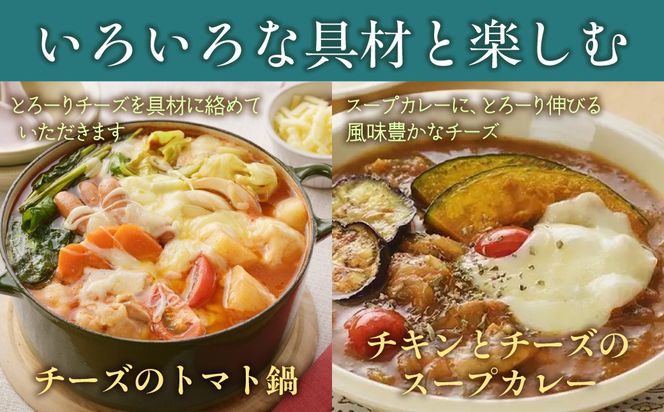 よつ葉北海道十勝　3種のチーズ《濃厚コク旨ブレンド》12袋【選べる回数】1回 / 毎月3回 / 隔月3回 / 3カ月毎3回 / 毎月4回 / 隔月4回 / 3カ月毎4回 / 隔月6回 / 定期12ヵ月 【 ふるさと納税 人気 おすすめ ランキング よつ葉 乳製品 贈答 プレゼント 贈り物 ギフト ごほうび セット 北海道産 十勝産 北海道 鹿追町 送料無料 】 SKA066-v