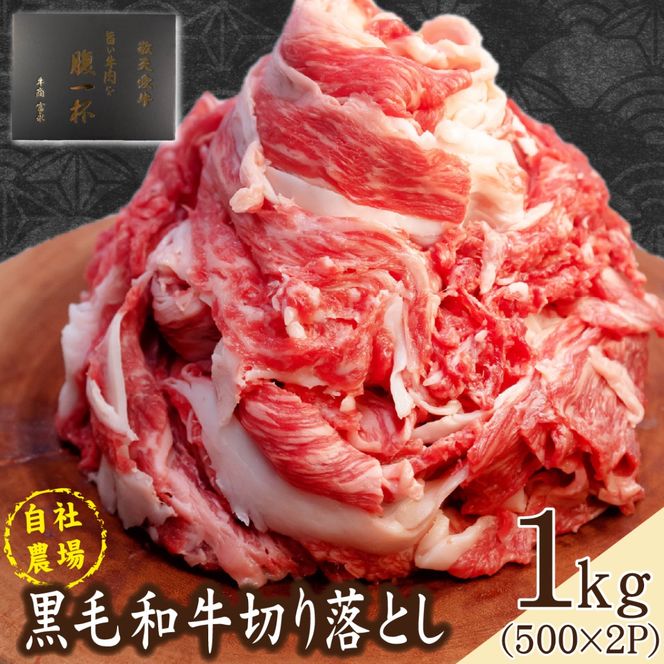 【自社農場和牛】黒毛和牛 切り落とし1kg（黒毛和牛 牛肉 切り落とし 切落し 訳あり 赤身 霜降り）
