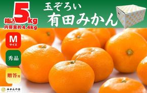 みかん Ｍサイズ 秀品 箱込 5kg (内容量約 4.4kg) 有田みかん 和歌山県産 産地直送 贈答用 【みかんの会】 AX204