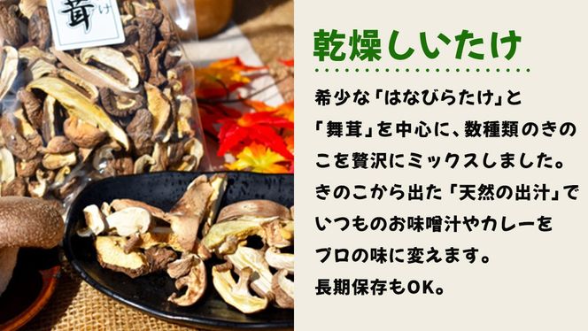 きのこ の 加工品 詰め合わせ 5点セット （茨城県共通返礼品：城里町） きのこミックス 野菜 水煮 国産 きのこ ご飯の素 国産 うどん そばの具 乾燥 しいたけ 乾燥 きくらげ バラエティ セット 乾燥きのこ  [DY004us]