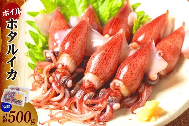 【ほたるいか ボイル 小分け 250g×2パック 500g 酢味噌付 冷蔵】【令和8年3月以降発送予定】 生 ホタルイカ いか イカ 烏賊 茹で しゃぶしゃぶ 国産 兵庫県産 鮮度抜群 新鮮 おすすめ ふるさと納税 返礼品 兵庫県 香美町 香住 モリタ食品 6000円 10-13