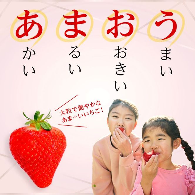 いちご 2026年2月より発送 うるう農園のあまおう大福キット(あまおう1パック＋大福6個セット) 果物 和菓子 生菓子 苺大福 フルーツ 和スイーツ 特別栽培 福岡県産 おやつ ※配送不可：離島