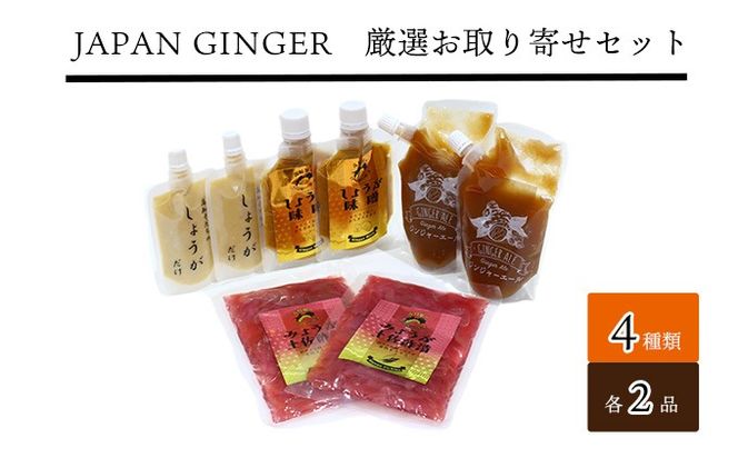 ym̒zJapan GingerI񂹃Zbgie2{j