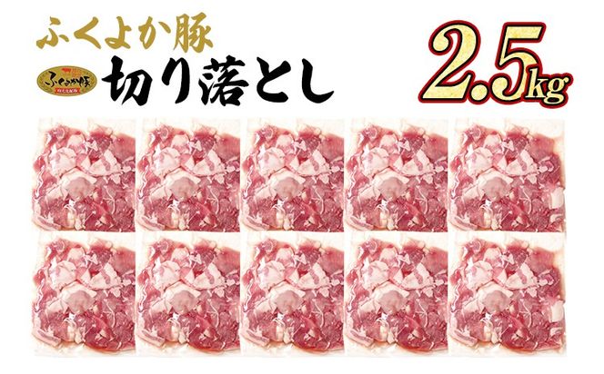 豚肉 ふくよか豚 切り落とし 2.5kg（250g×10パック） モモ ウデ モモ肉 ウデ肉 小分け 真空パック ブタ肉 ぶた肉 生姜焼き 焼きそば 豚汁 冷凍 福岡県 福岡 九州 グルメ お取り寄せ