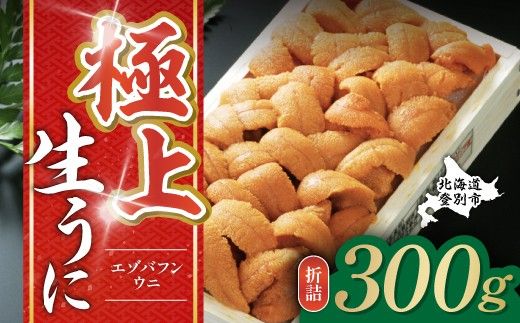 極上エゾバフンウニ折詰 300g うに ウニ 生ウニ バフンウニ  雲丹 高級 ふるさと納税 北海道 登別市