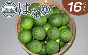 ゆず ＜2026年7月以降順次配送＞柚子 花柚子 虎弥太郎 はなゆ青玉 16パック hy-0002