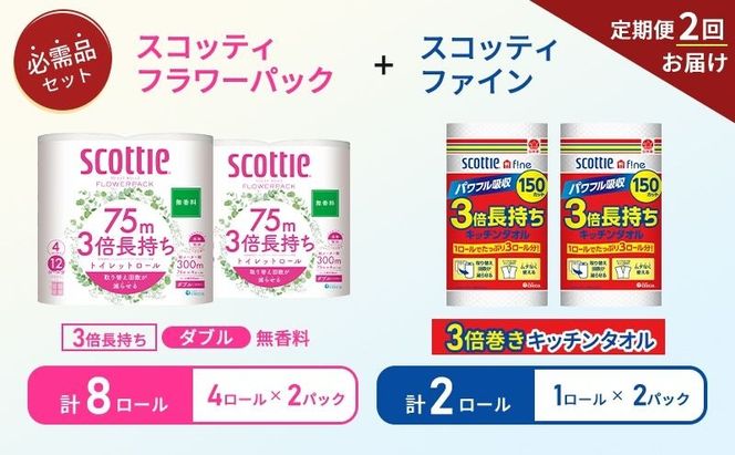 【 6ヶ月ごと計 2回お届け 】キッチンペーパー 2パック入 スコッティ ファイン 1ロール 150カット トイレットペーパー ダブル 4ロール入 × 2パック フラワーパック
