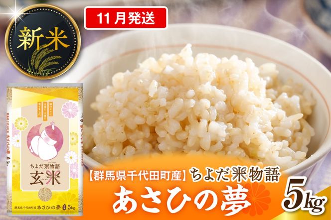 2026年11月発送【令和8年度産】群馬県千代田町産 あさひの夢 5kg×1袋 (玄米) 群馬県 千代田町