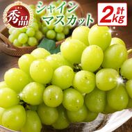 【令和8年発送 先行予約】小林市産 シャインマスカット 2kg（ブドウ ぶどう シャインマスカット マスカット フルーツ 果物 先行受付 限定）