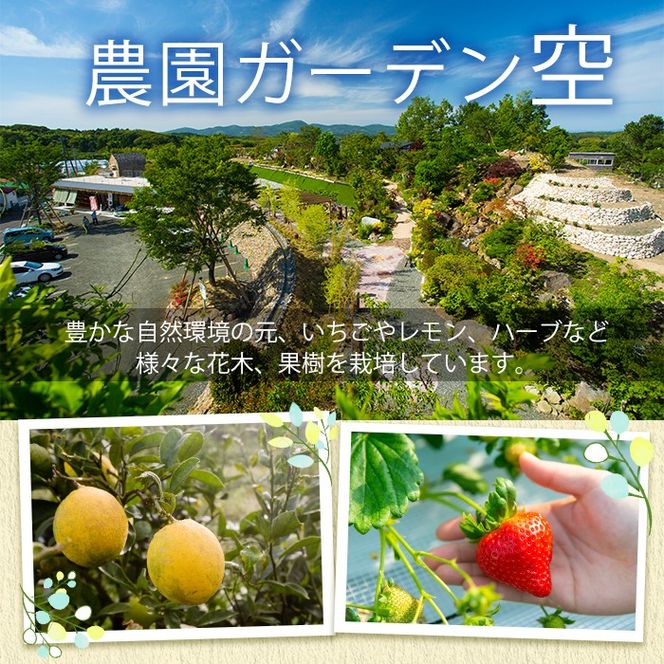＜先行予約受付中！2027年1月以降順次発送予定＞農園ガーデン空産いちご 恋みのりセット(計1.1kg・280g×4P)国産 イチゴ 苺 フルーツ 果物【農園ガーデン空】akn026-02