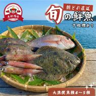 【下処理あり】 朝獲れ 鮮魚 ボックス 大漁便 魚種 4～5種 三陸 朝獲れ直送 冷蔵 魚種お任せ 水揚げ 海鮮 魚介 産地直送 新鮮 天然 魚 詰め合わせ 鮮魚便 鮮魚セット 下処理 三陸産 国産 海鮮 旬 岩手県 大船渡市 2万円 20000円