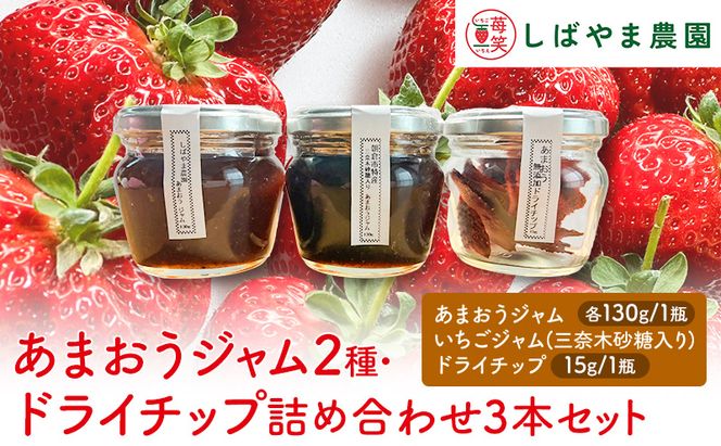 福岡県朝倉産 あまおうジャム2種（各1瓶）ドライチップ（1瓶）詰め合わせセット
