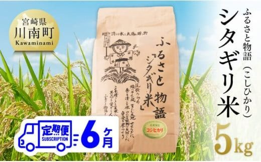 【6ヶ月定期便】※毎月20日頃発送※【令和6年産】宮崎県産こしひかり「シタギリ米」 5kg【 お米 新米 2023年産 定期便 全6回 】 [D04201t6]