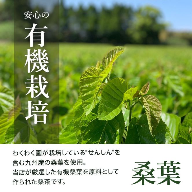 a1015 菊芋桑茶 (60包) 菊芋 スーパーフード 桑の葉茶 健康茶 ハーブ マルベリー ノンカフェイン【わくわく園】