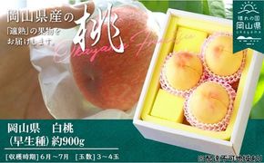 桃 2026年 先行予約 桃 早生種 約900g 3～4玉 もも モモ 岡山県産 国産 フルーツ 果物 ギフト
