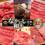 【定期便・全12回】西ノ原牧場直送 なかにし和牛ブロンズコース（肉定期便 黒毛和牛 和牛 牛肉 赤身 ブランド牛 ステーキ 焼肉 すき焼き 宮崎県 小林市）
