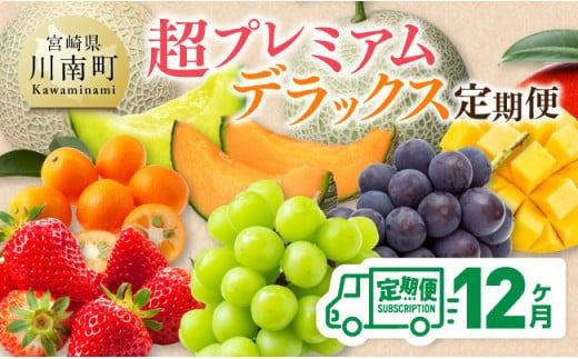 [ 12ヶ月定期便 ] 超 プレミアム デラックス 定期便 [ 川南町産 くだもの きんかん いちご 完熟 マンゴー ぶどう ピオーネ シャイン マスカット 大玉 メロン ][D11718t12]