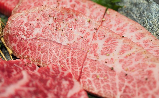 ステーキ 厳選 希少部位 A4～A5 博多和牛 ミスジステーキ 約500g (100g×5p) 牛肉 肉 ブランド牛 ※配送不可:離島 