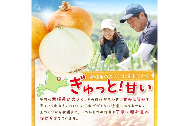 【予約：2026年9月下旬から順次発送】いとう農園の玉ねぎ 10kg ( 玉葱 タマネギ 野菜 期間限定 数量限定 10キロ )【181-0002-2026】