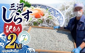 訳あり モリモリ2kg！バラエティ豊富な三河しらす～海の仲間たち～　H018-040
