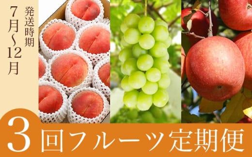 ［3回定期便］ 信州フルーツ3回コース ［小布施屋］ 定期便 先行予約 フルーツ 数量限定 白桃 シャインマスカット ぶどう りんご お楽しみ 3回お届け 長野県産 信州産 令和8年産 【2026年7月～12月発送】