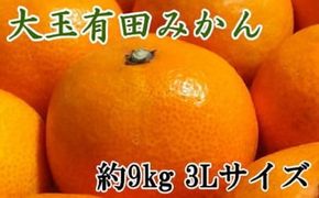 【食べごたえ十分】有田みかん大玉9kg（3Lサイズ・秀品）