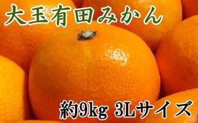 【食べごたえ十分】有田みかん大玉9kg（3Lサイズ・秀品）