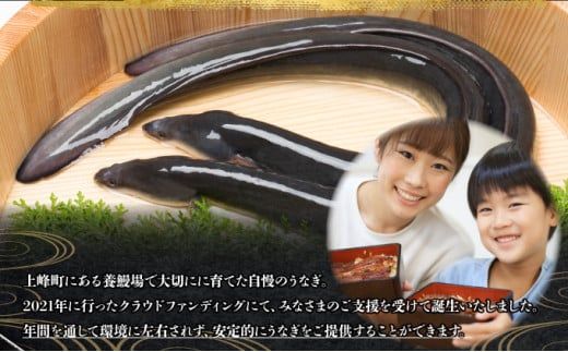 上峰町産うなぎ200g×2尾 国産 九州産 鰻 ひつまぶし 蒲焼き タレ付 山椒付 箱入り 炭火焼 直火焼 2尾 計400g D-632