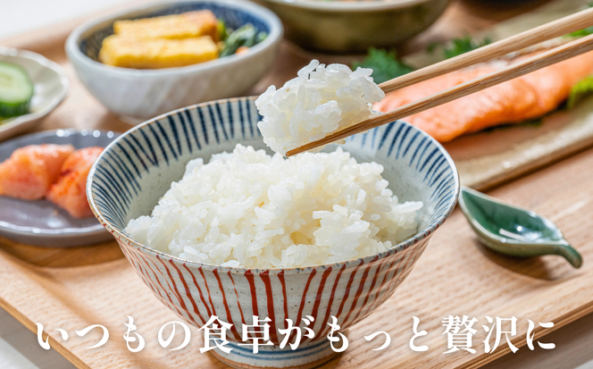 令和7年産 奥山の冷たい水で育てた 石川さんの コシヒカリ 5kg 17000円 新米 お米 米 こめ 産地直送 国産 農家直送 期間限定 数量限定 特産品 2025年産 令和7年度産 2025年度産 甘い もちもち もっちり つやつや ツヤツヤ 旨味 香り 粘り 人気 おすすめ 内祝い お祝い 贈答品 お返し プレゼント 土産 お礼 お取り寄せ 愛南町 愛媛県 石川健一