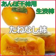 甘さが違う！とっても甘くなる生渋柿（平たねなし柿）あんぽ柿用 T軸枝無  約4.5～5kg　約24～30個＜2026年10月中旬～11月上旬ごろ順次発送＞-AP【art003B】