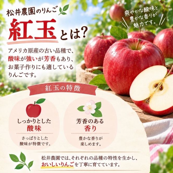 バター【紅玉りんごバター（140g）２個セット】りんご リンゴ りんごバター 紅玉 完熟 アップル 果物 ペースト トッピング バタースプレッド トースト ヨーグルト 信州 長野