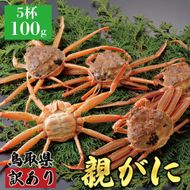 1071.【2025年12月発送】鳥取県産 特撰 親がに 姿【セコガニ】（なま）【訳あり】100g 5杯 313726_BS073