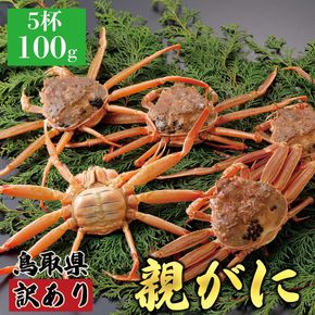 1071.【2025年12月発送】鳥取県産 特撰 親がに 姿【セコガニ】（なま）【訳あり】100g 5杯 313726_BS073