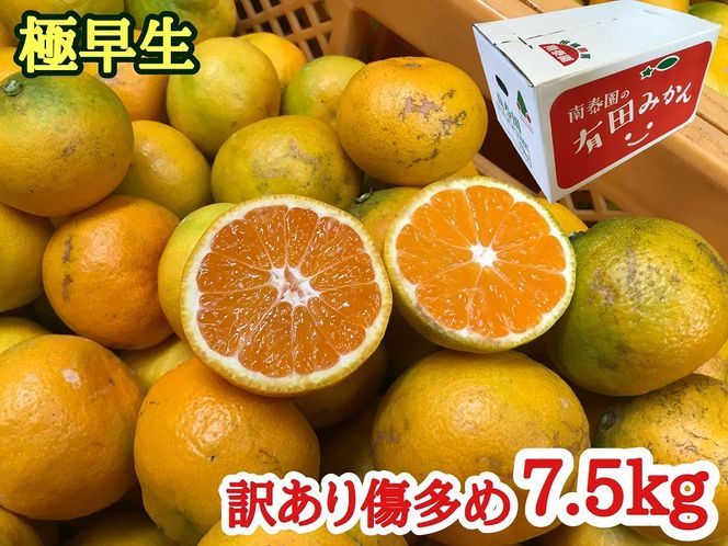 定期便 先行受付 2025年 10月発送スタート 訳あり 傷多め 7.5kg × 3回 コース 有田みかん 食べくらべ 3種 南泰園 BS826