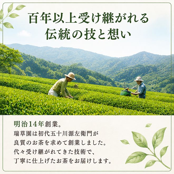 特選煎茶3本セット お茶 緑茶 