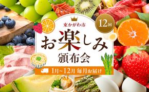 東かがわ市お楽しみ頒布会(12回) みかん いちご 卵 アスパラ 讃岐うどん メロン 豚肉 ブルーベリー シャインマスカット サーモン キウイ 黒毛和牛 香川