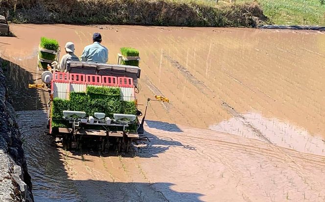 コシヒカリ 計１０kg ga-0007