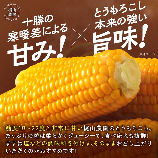 先行受付！【2026年8月頃～発送開始！】北海道十勝清水町産 恵味 サイズ混合 10本 北海道産 2026年 とうもろこし とうきび 産直 産地直送 清水町 北海道_S041-0011