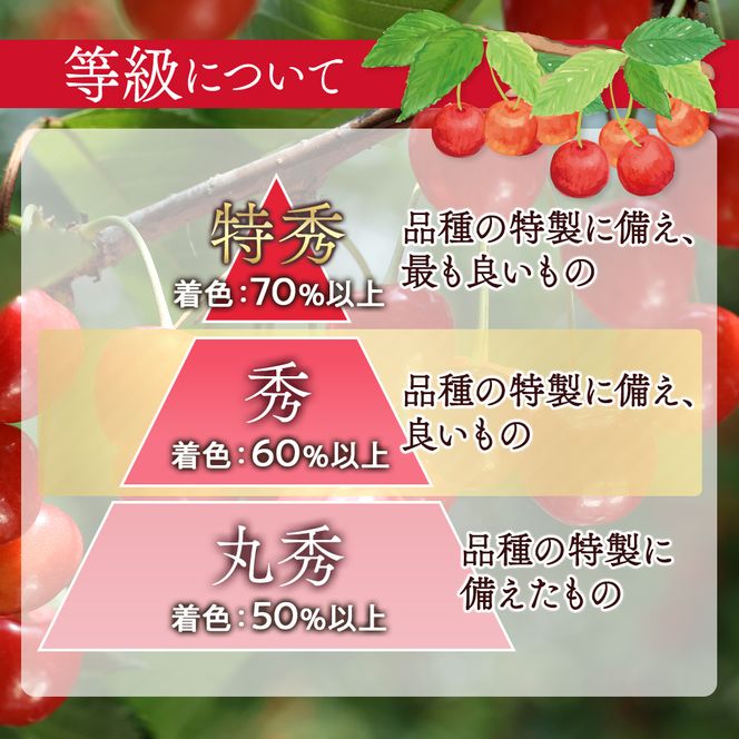 FYN6-250 ≪2026年先行予約≫山形県産 さくらんぼ 品種おまかせ(佐藤錦・紅秀峰など) 500g 秀/L以上 バラパック詰め 2026年6月中旬頃より発送 果物 くだもの フルーツ 夏果実 サクランボ チェリー 桜桃 高級 化粧箱 ギフト箱 贈り物 贈答 ギフト プレゼント 自宅 家庭 産地直送 山形県 西川町 月山