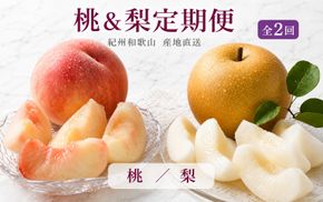 【全2回】かつらぎ町のフルーツ定期便（桃・梨）【8月・9月】 【tkb426】