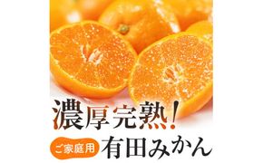 【11月発送】有田育ちの完熟有田みかん 家庭用 サイズ混合(2S～2L)　約5.2kg(5kg+200g)(傷み補償分) 【ard186D-11】